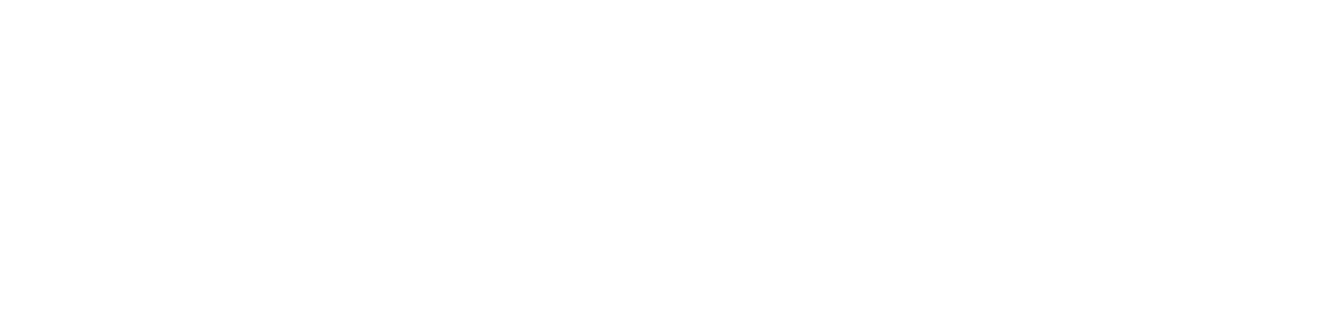 WiscLift